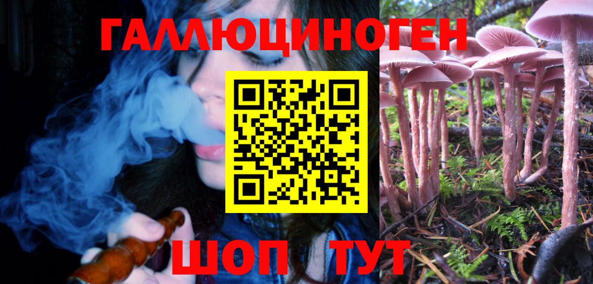 Татарск  Псилоцибиновые грибы Psilocybine cubensis  Вход с VPN 